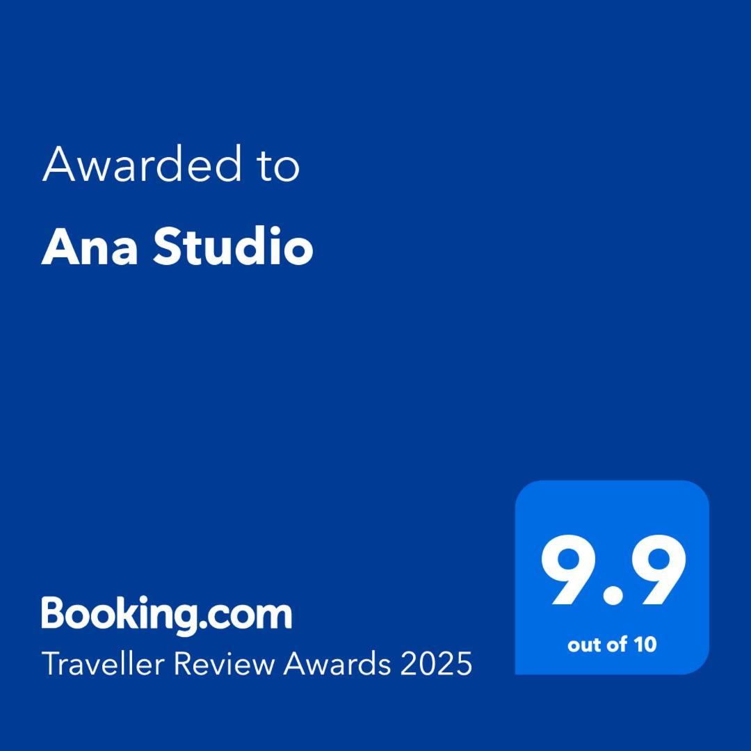 Ana Studio Hunedoara Eksteriør billede